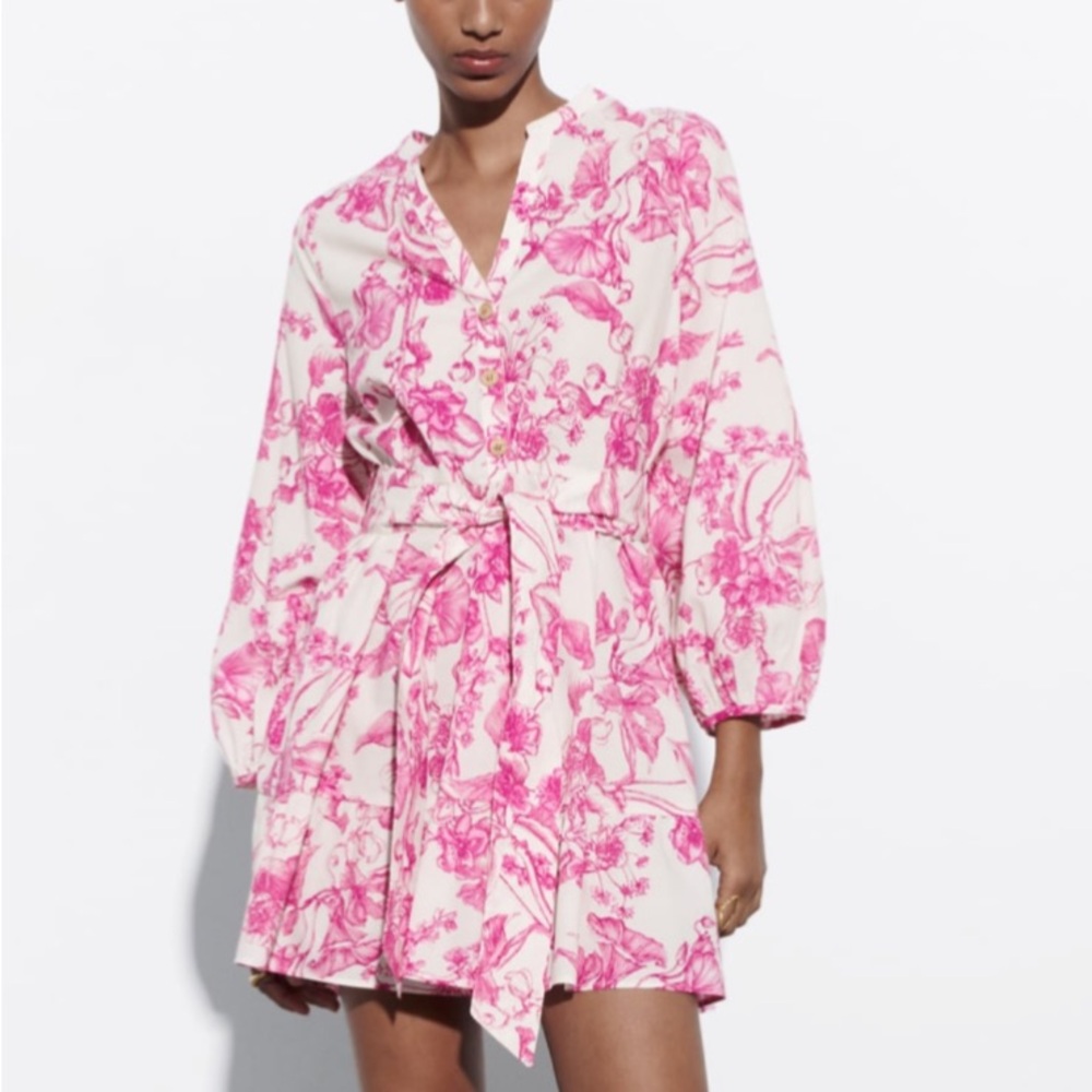 Zara Dress